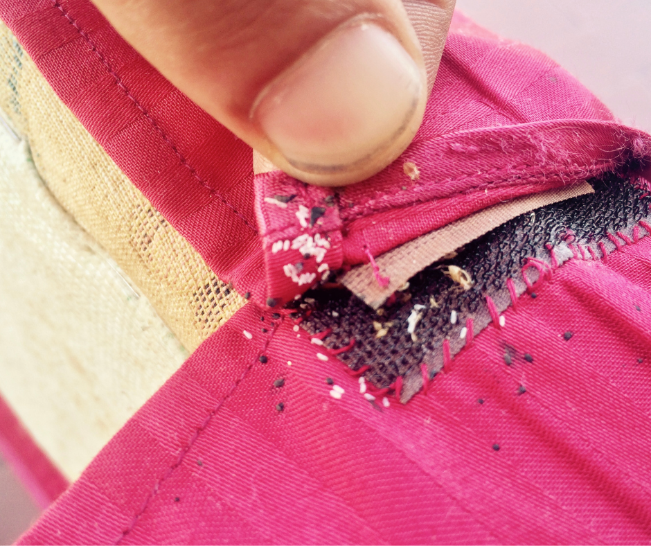 Bedbug control essex